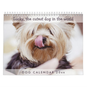 Mural Calendrier des chiens 2026 Ajouter vos photos mign