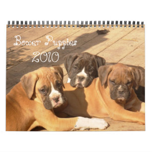 Mural Calendrier des chiots 2010 de boxeur