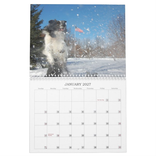 Mural Calendrier des colleys de frontière de RiverRun (Jan 2027)
