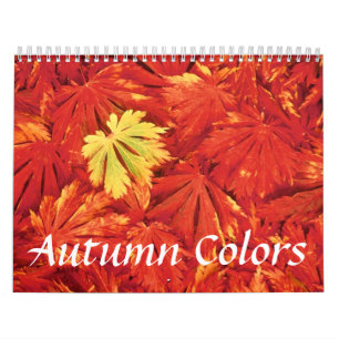 Mural Calendrier des couleurs d'automne