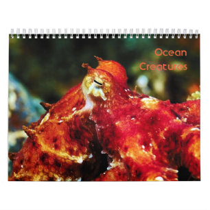 Mural Calendrier des créations océaniques