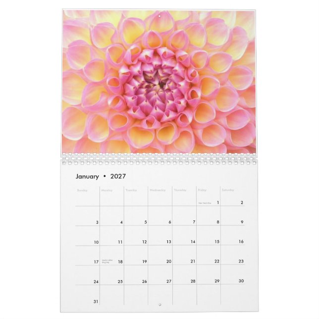 Mural Calendrier des dahlias 2011 (Jan 2027)