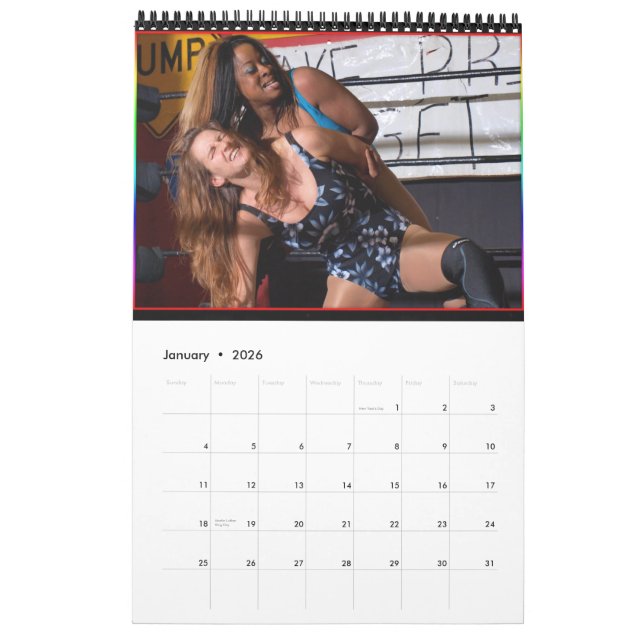 Mural Calendrier des filles 2012 de combat d'imaginaire (Jan 2026)