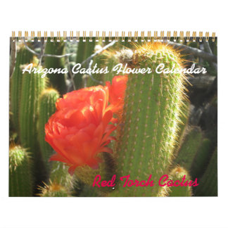 Mural Calendrier des fleurs de l'Arizona Cactus