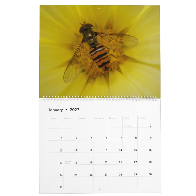 Mural Calendrier des insectes 2015 (Jan 2027)