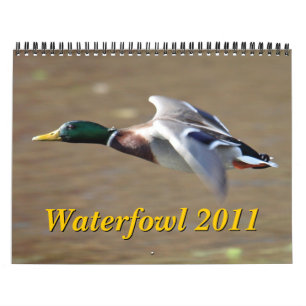 Mural Calendrier des oiseaux aquatiques 2011