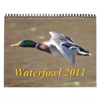 Mural Calendrier des oiseaux aquatiques 2011