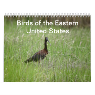 Mural Calendrier des oiseaux de l'Est des États-Unis