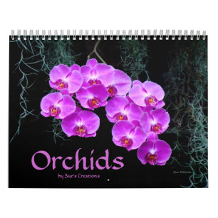 Mural Calendrier des orchidées