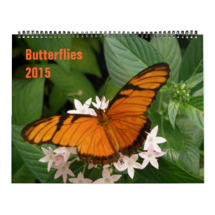 Mural Calendrier des papillons 2015