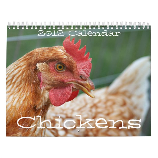 Mural Calendrier des poulets 2011 (Protection)