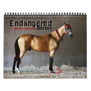Mural Calendrier des races de chevaux en voie de dispari