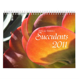 Mural Calendrier des Succulents 2011