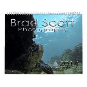 Mural Calendrier des tortues marines par Brad Scott Phot