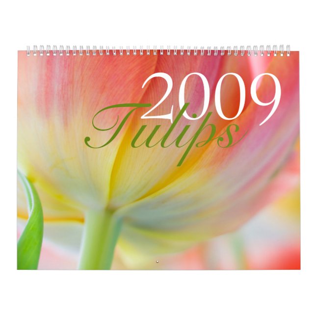 Mural Calendrier des tulipes 2009 (Protection)