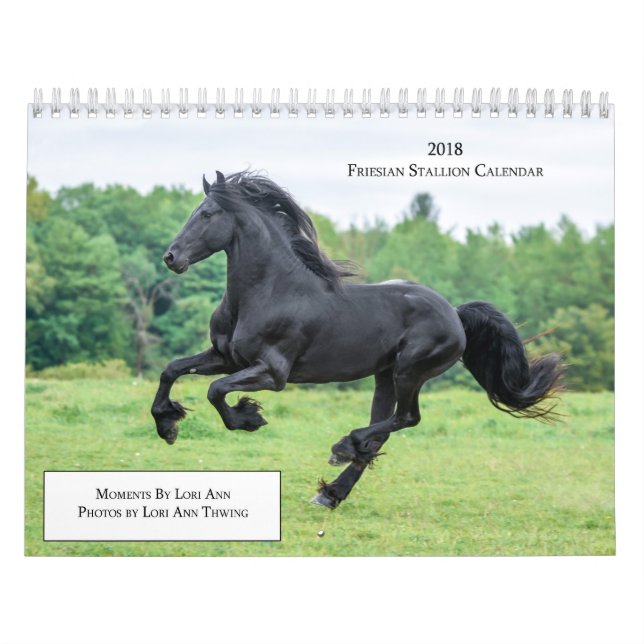 Mural Calendrier d'étalon de 2018 frisons (Protection)