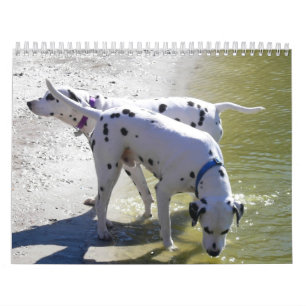 Mural Calendrier DogWood 2007