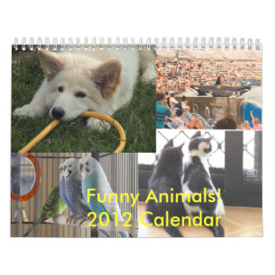 Mural Calendrier drôle des animaux 2012