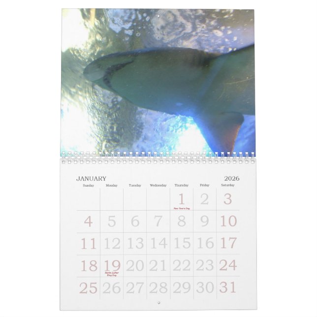 Mural Calendrier drôle des animaux 2012 (Jan 2026)