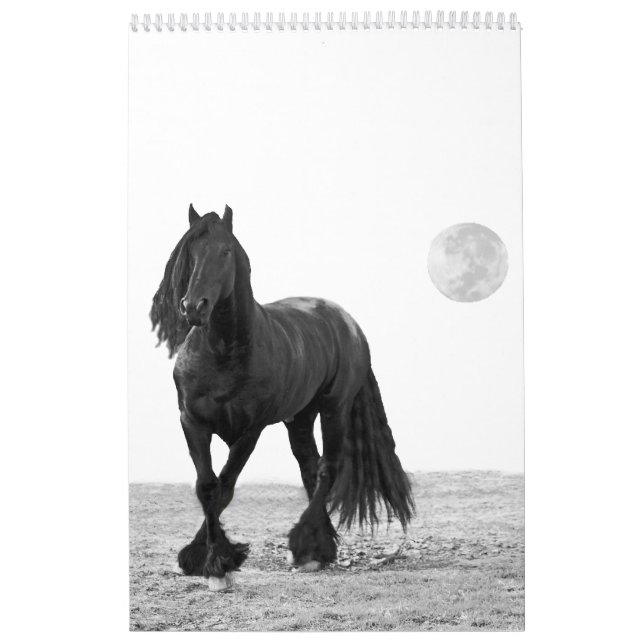 Mural Calendrier du cheval (Protection)