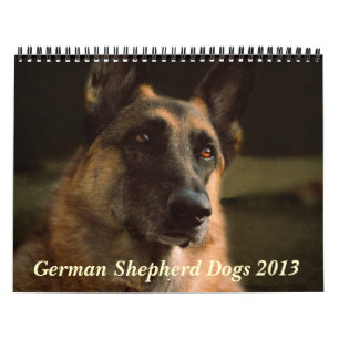 Mural Calendrier du chien de berger allemand 2013