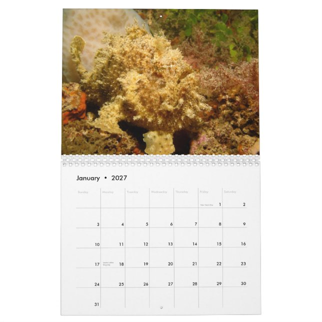 Mural Calendrier du Frogfish 2012 (Jan 2027)