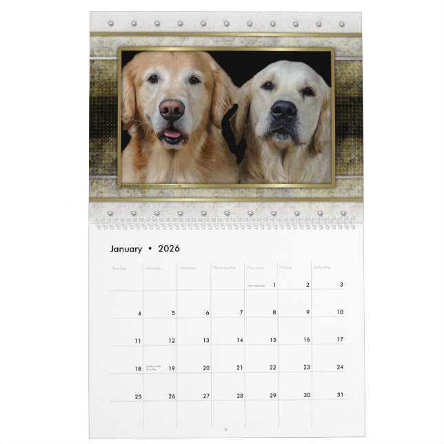 Mural Calendrier du golden retriever 2014 (Jan 2026)