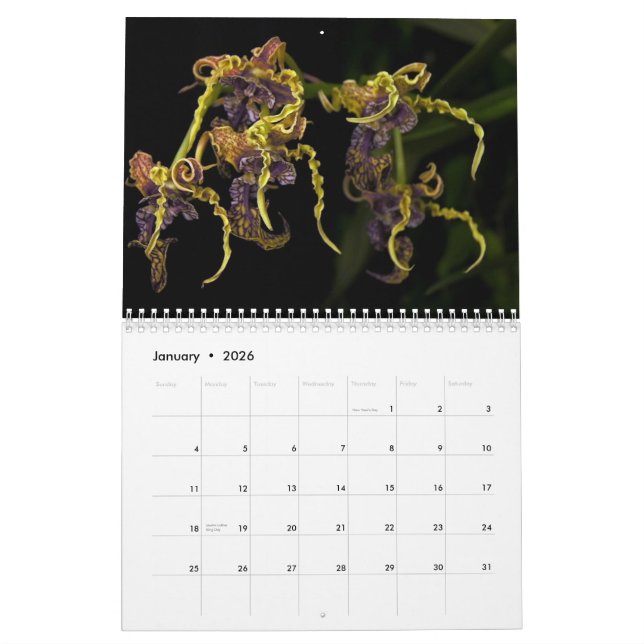 Mural Calendrier du jardin 2013 de Dave (Jan 2026)