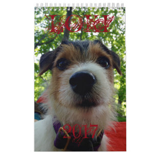 Mural Calendrier du Loki 2017