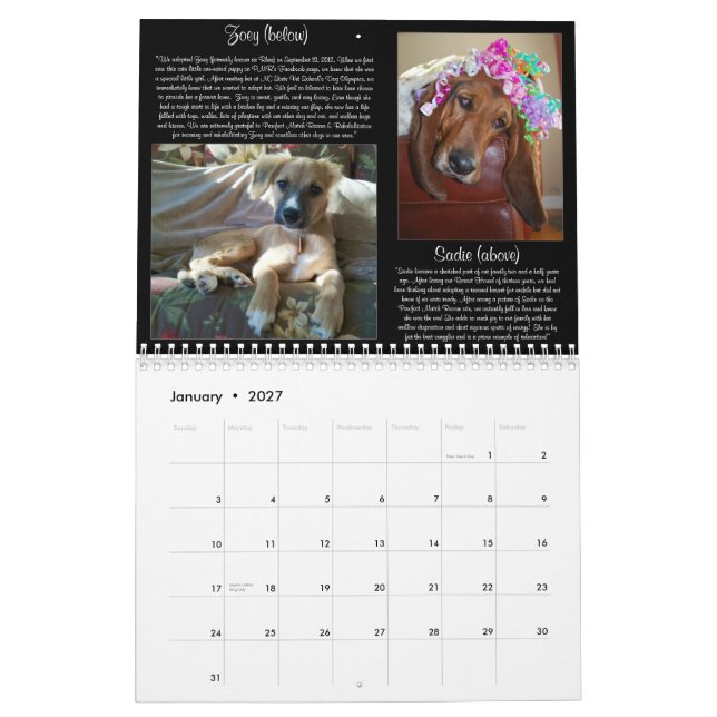 Mural Calendrier du match 2013 de Pawfect (Jan 2027)