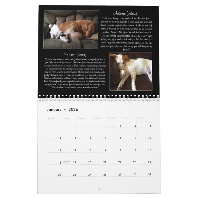 Mural Calendrier du match 2015 de Pawfect (Jan 2026)