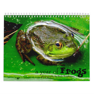 Mural Calendrier d'une année de grenouilles