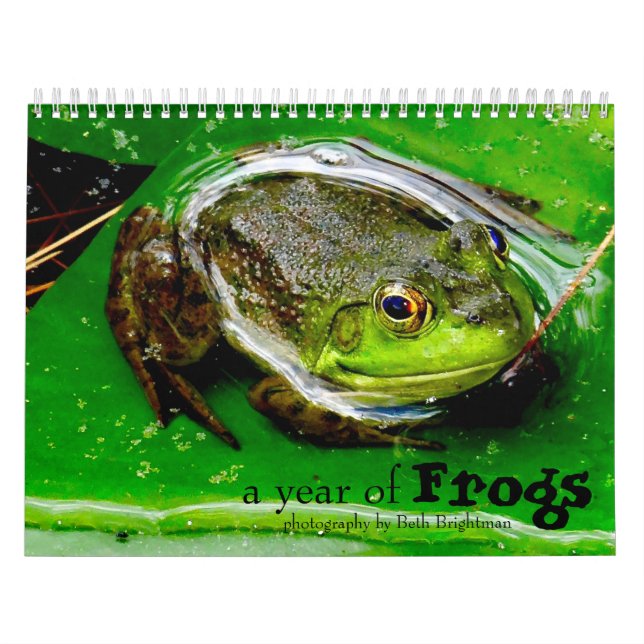 Mural Calendrier d'une année de grenouilles (Protection)