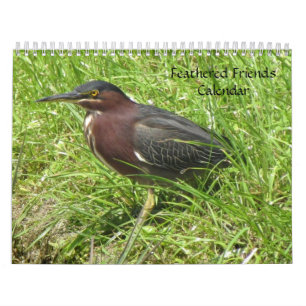 Mural Calendrier Feathered Friends 2013 - Encore Edition