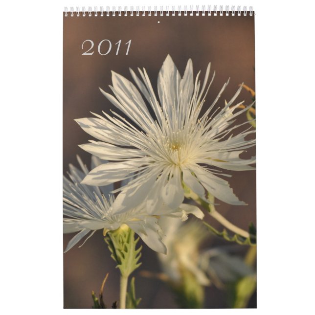 Mural Calendrier floral 2011 (Protection)