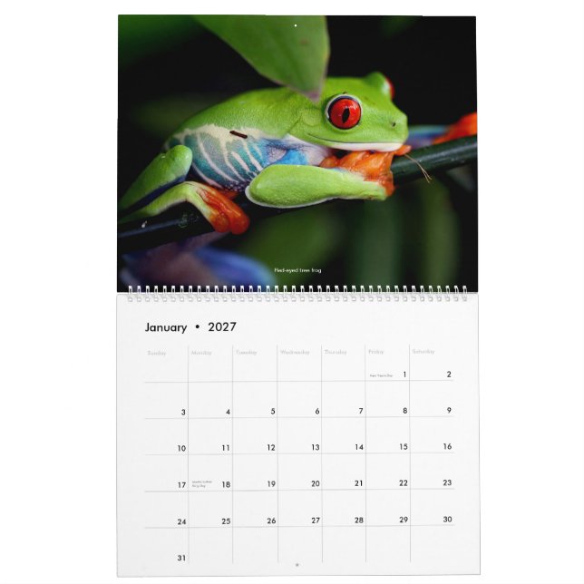 Mural Calendrier frais de grenouilles (Jan 2027)