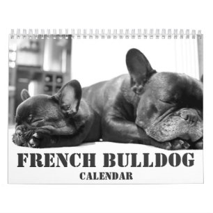 Mural Calendrier Français Bulldog 2026 Noir Et Blanc
