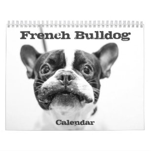 Mural Calendrier Français Bulldog 2026 Noir Et Blanc