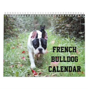 Mural Calendrier Français Bulldog Avec Vos Photos
