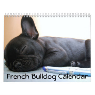 Mural Calendrier Français des photos de Bulldog 2026