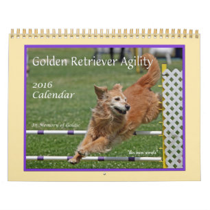 Mural Calendrier Golden Retriever Agilité