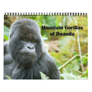 Mural Calendrier - gorilles de montagne du Rwanda
