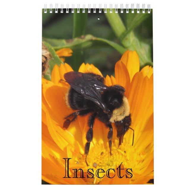 Mural Calendrier - Insectes (sgl. pg.) (Protection)