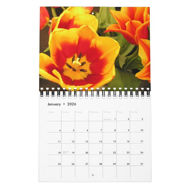 Mural Calendrier irlandais de festival de tulipe (Jan 2026)
