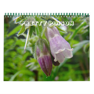 Mural Calendrier - Joli poison