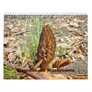 Mural Calendrier - Magnifiques champignons