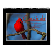 Calendrier mensuel des cardinaux 2017 par Thomas