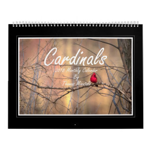Mural Calendrier mensuel des cardinaux 2018 par Thomas