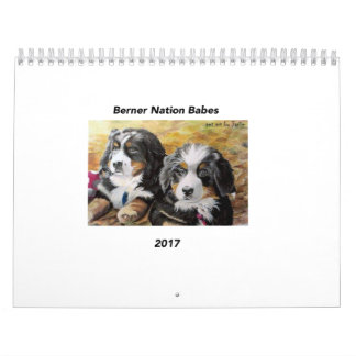 Mural Calendrier moyen des bébés 2017 de nation de