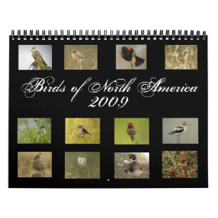 Mural Calendrier nord-américain d'oiseaux